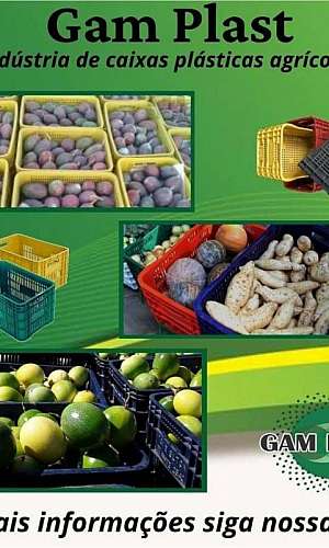 caixas de plástico para frutas
